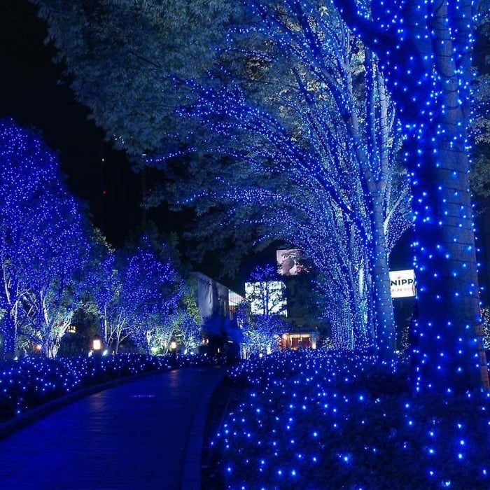 Lichidare de stoc: Decoratiune cu Incarcare Solara, 50 metri, 500 led - Albastru