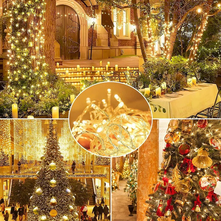 2728-14035.jpg