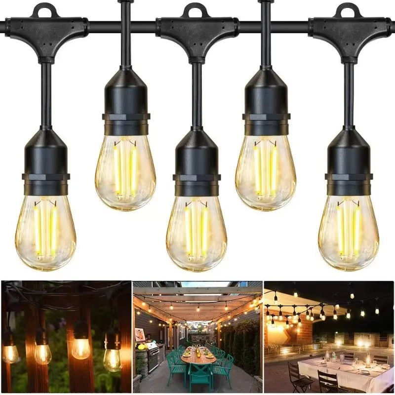 2947-19439.jpg